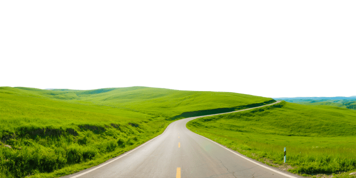 Road through Green Fields png