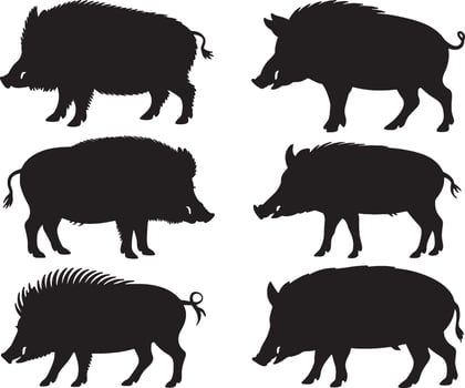 Six wild boar silhouettes black and white vector