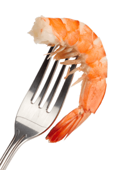 Juicy cooked pink shrimp skewered on fork, isolated on transparent background. Fresh seafood close-up, healthy protein food png