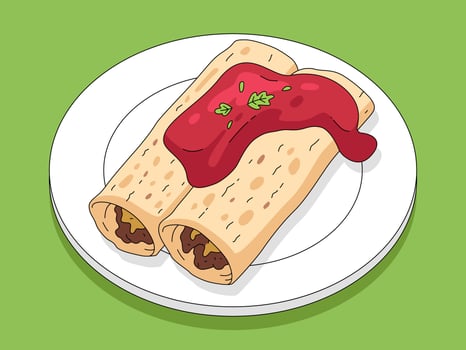 Delicious Mexican Enchiladas on a Plate vector