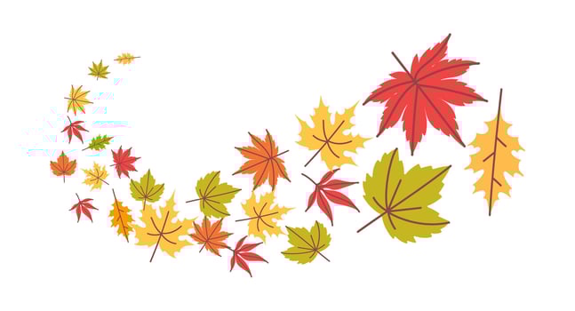 Autumn falling leaves. Flying swirl of orange tree foliage. Thanksgiving background with yellow, red and green maple and oak leaves. Fall sale season banner template vector
