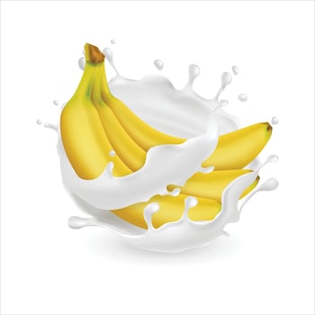 Banana yogurt milk vector