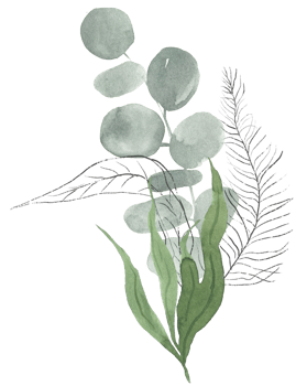 Watercolor green botanic leaf illustration clipart png