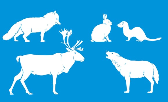 Arctic Land Animals Set vector