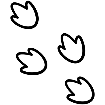 Group of dinosaur paw print png