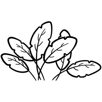 Six tropical leaf doodles png