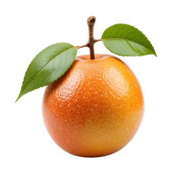 Ripe Orange Fruit with Green Leaves on Transparent Background png