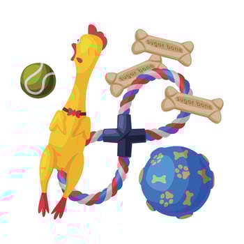 Dog Accessories Set, Pet Animal Stuff, Toys for Dogs Cartoon Style Illustration vector