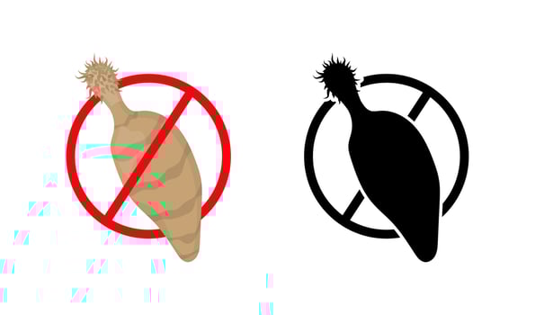 Stop thorny headed worm, acanthocephalan, parasitic infection control, illustration vector