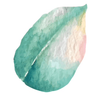Watercolor Teal and Pastel Green Leaf Botanical Illustration Floral Design Element png