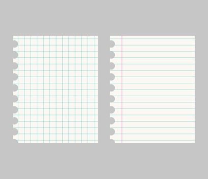 Set of realistic illustrations of a torn sheet of paper from a workbook with shadow, isolated on a gray background vector