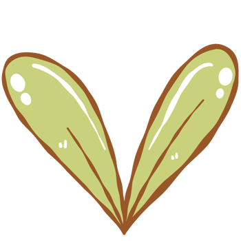 Bright green leaves png