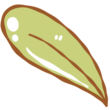 Green leaves illustration png