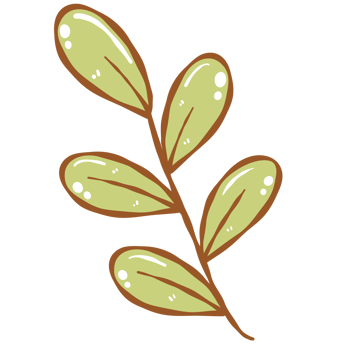 vibrant green leaf png