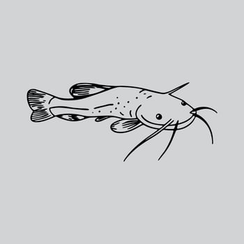 Abstract Catfish Ink Drawing vector