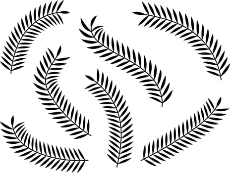 palm leaves set. tropical plants decoration elements. plumeria and other. artistic embellishments vector
