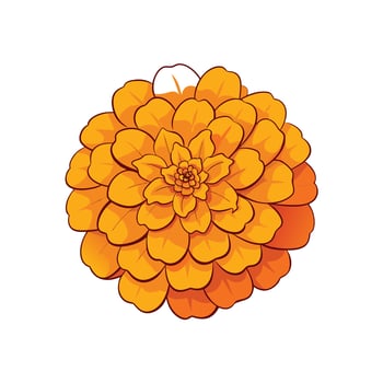 Vibrant orange marigold flower illustration on a white background vector