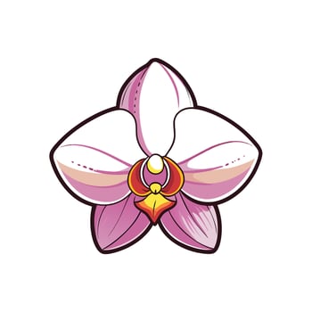 Single orchid flower illustration with pink, yellow, and white vector