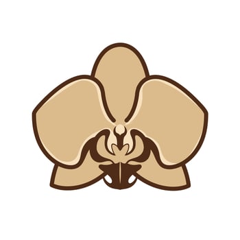 Orchid flower logo design vector