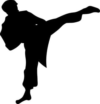 Karate Kick Silhouette for Sports and Martial Arts Competition vector