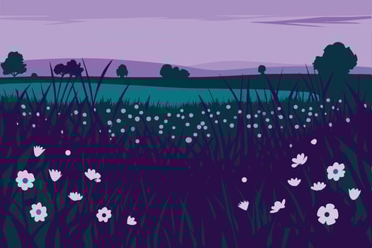 A field with flowers and grass at dusk vector