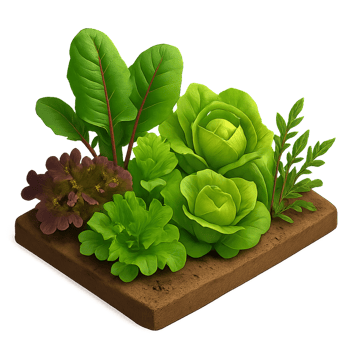 Fresh 3D Mixed Salad with Various Leafy Vegetables on Base png