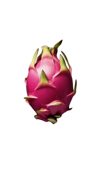 Vibrant pink dragon fruit png