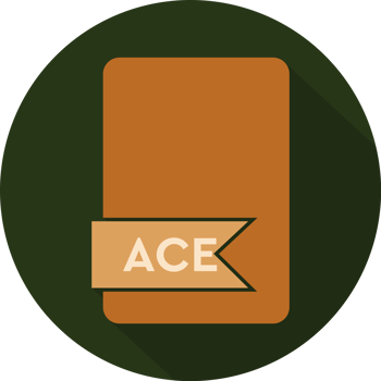Ace File Format Icon Orange Fill Circular Shape png