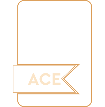 Ace File Format Icon Orange Outline Fill png