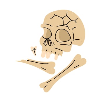 human skull with bones, teeth. Archaeological finds, Excavations, finds of human life. It is suitable for scientific materials, museum projects, textbooks, topics on archeology, anthropology, history vector