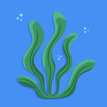 Green seaweed plant with waving leaves on blue background and bubbles around. vector