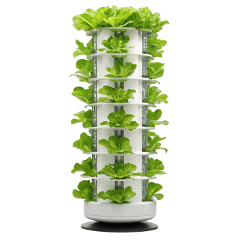 Hydroponic tower growing lettuce on transparent background png