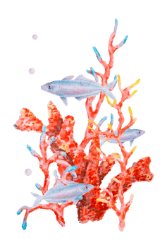 Watercolor illustration of vibrant red coral branches with small blue fish and air bubbles. Underwater marine scene perfect for sea-themed designs, prints, and ocean-related projects. png