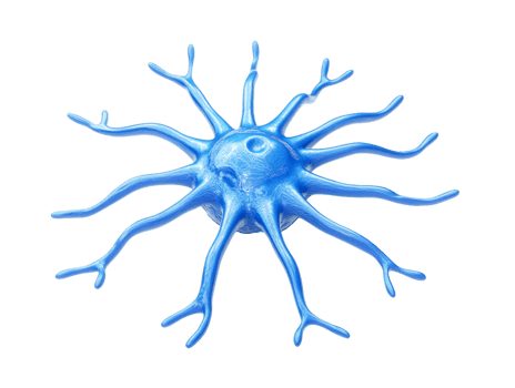 3D Render of a Blue Neuron Cell with Branching Dendrites png