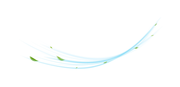 Fresh Air Flow with Leaves on Transparent Background png
