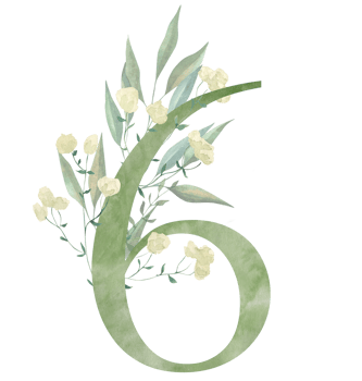 Elegant watercolor number 6 with soft green tones, decorated with delicate yellow flowers and foliage. Perfect for nursery decor, wedding stationery, and botanical-themed designs. png