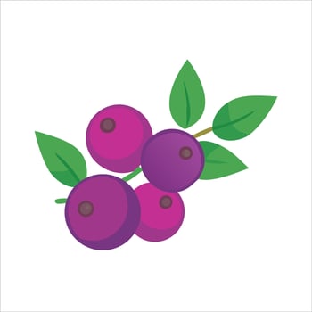 Flat berries fruits icon modern design concept isolated vector