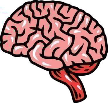 human brain illustration vector