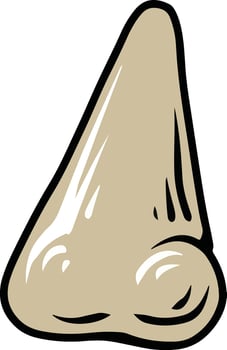 nose illustration art vector