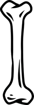 human bone illustration vector