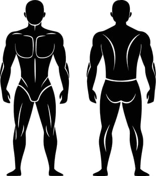 Human Male Body Template for Fitness and Anatomy Illustration vector