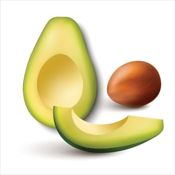 Whole and cut avocado with avocado seed isolated on white background vector
