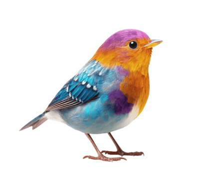 Colorful bird perched on a branch with vibrant plumage png