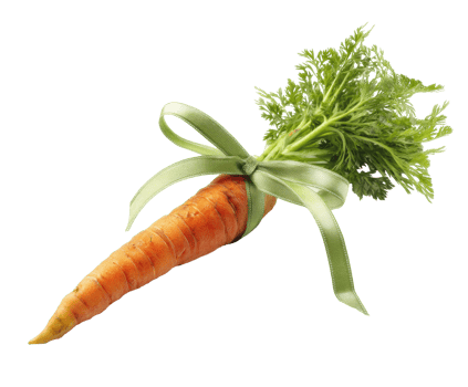 Fresh carrot with green leaves and ribbon for cooking presentation png