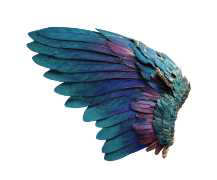 Colorful fantasy bird wing design for creative projects png