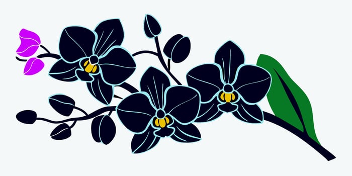 Dark Blue Orchid Branch Illustration, Floral Design vector