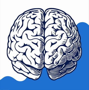 Engraved Human Brain Illustration on Blue Background vector