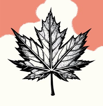 Black and White Maple Leaf Illustration on Coral Background vector