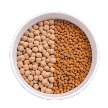 Premium dry pet food in feeding bowl png