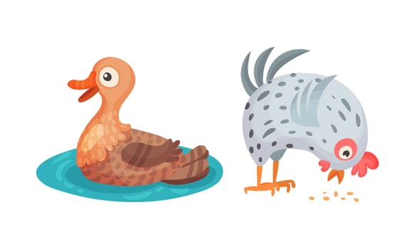 Duck and hen. Farm birds poultry breeding cartoon illustration vector